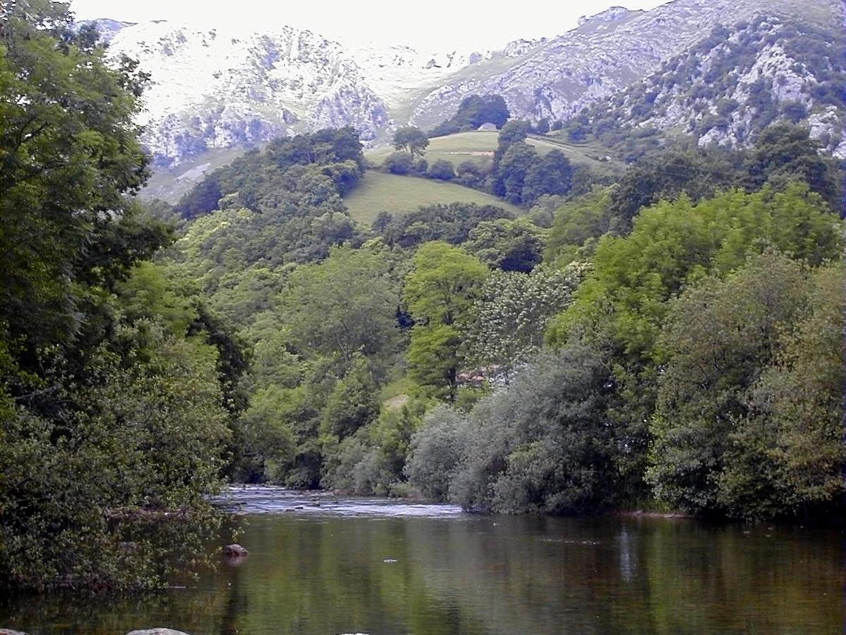Apto Valle Encantado, Piscina Y Vistas, Tu Escapada Perfecta Gibaja المظهر الخارجي الصورة